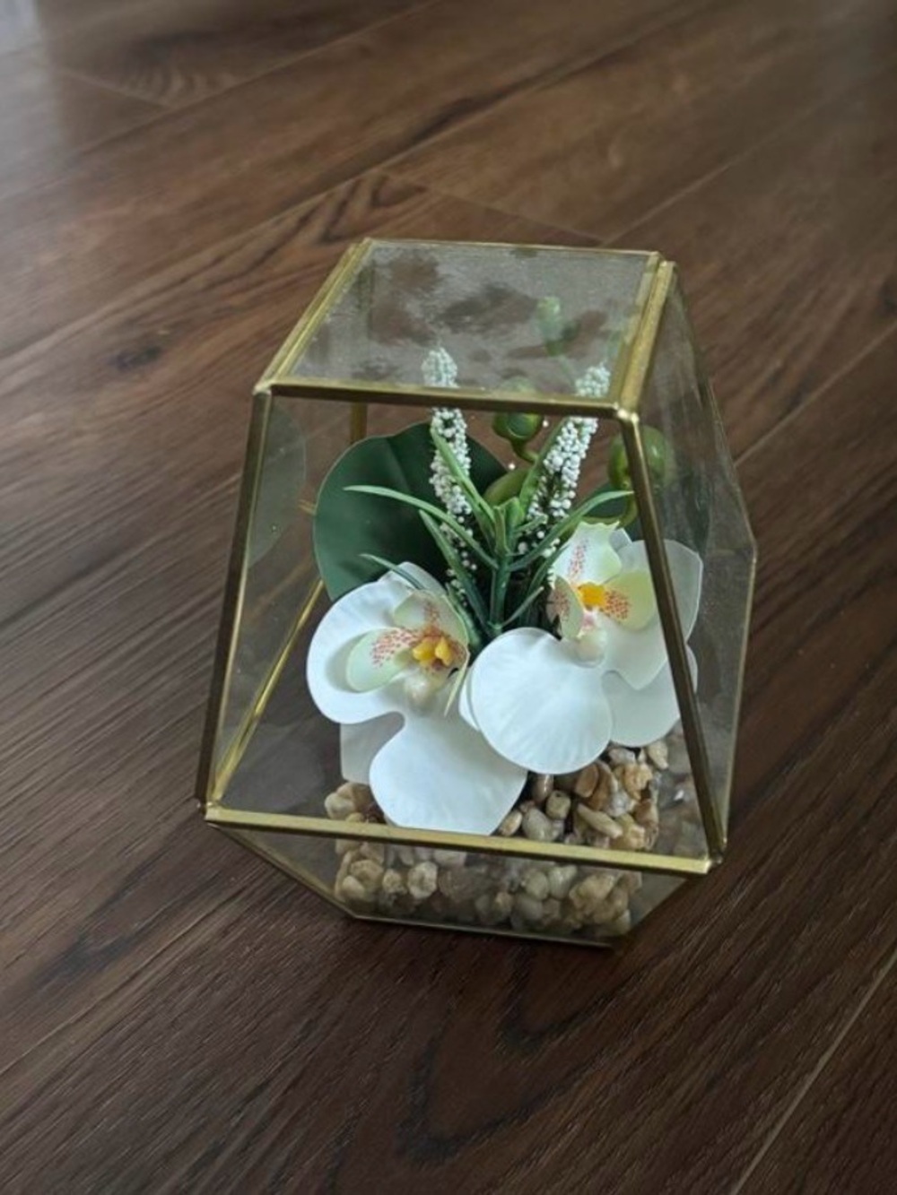 Succulent Decor - Picture 2 of 2